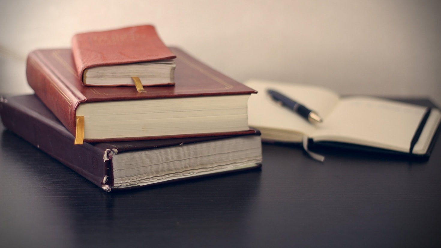 Nanette Pitt’s Tips for Building a Standout Resume